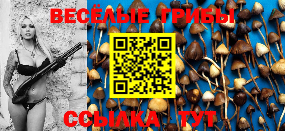 Галлюциногенные грибы ЛСД Саяногорск
